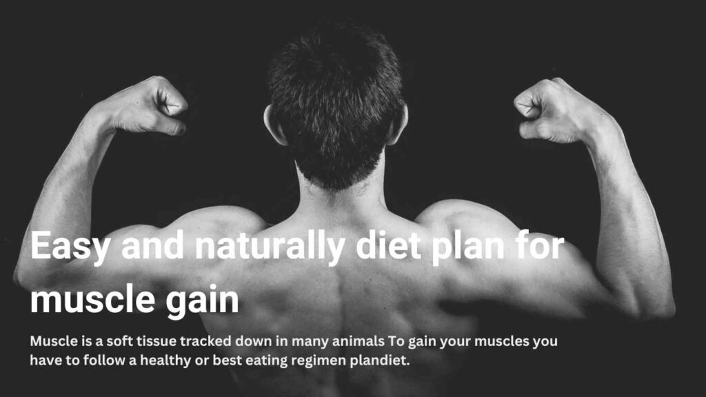 Easy and naturally diet plan for muscle gain